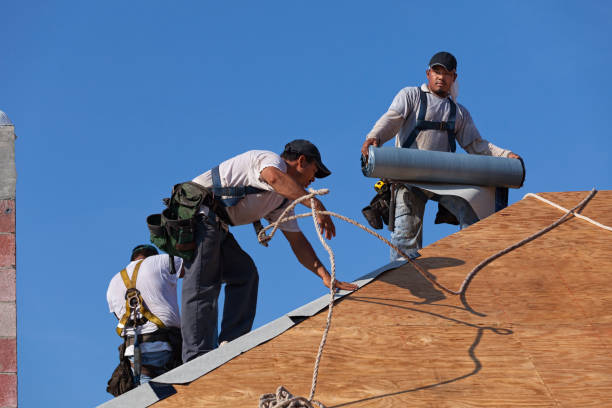 Best Storm Damage Roof Repair  in North Corbin, KY